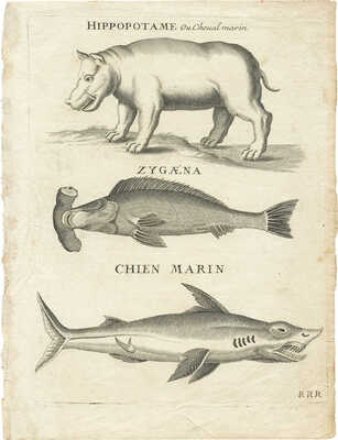 Лот из трех гравюр «Диковинные звери», [пер. пол. XIX в.]